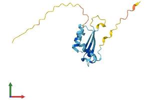 AlphaFold protein structure predicition of Mouse Recombinant Bola1 Protein, UniprotID Q9D8S9