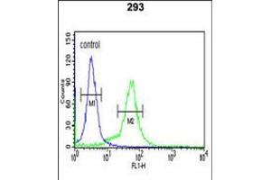 Flow cytometric analysis of 293 cells (right histogram) compared to a negative control cell (left histogram). (BTBD1 anticorps  (AA 295-322))