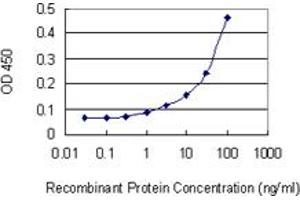 Detection limit for recombinant GST tagged MCFD2 is 1 ng/ml as a capture antibody.