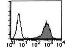 Flow Cytometry (FACS) image for anti-CD59 (CD59) antibody (ABIN1449269)