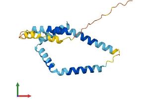 AlphaFold protein structure predicition of Mouse Recombinant Fundc1 Protein, UniprotID Q9DB70