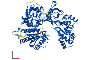 AlphaFold protein structure predicition of Human Recombinant NDOR1 Protein, UniprotID Q9UHB4