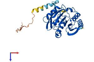 AlphaFold protein structure predicition of Mouse Recombinant Mettl21c Protein, UniprotID Q8BLU2