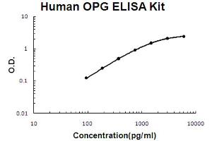 Human OPG Accusignal ELISA Kit Human OPG AccuSignal ELISA Kit standard curve.