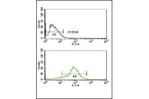 EX2 Antibody (Center) 8975c flow cytometry analysis of MCF-7 cells (bottom histogram) compared to a negative control cell (top histogram).