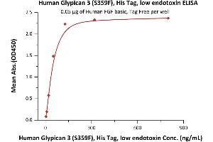 Glypican 3 (GPC3) (AA 25-559) (Active) protein (His tag)