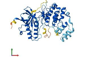 AlphaFold protein structure predicition of Human Recombinant MAPK13 Protein, UniprotID O15264