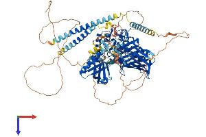 AlphaFold protein structure predicition of Human Recombinant OSBPL3 Protein, UniprotID Q9H4L5