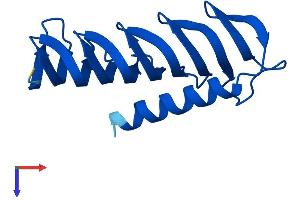 AlphaFold protein structure predicition of Mouse Recombinant Morn4 Protein, UniprotID Q6PGF2