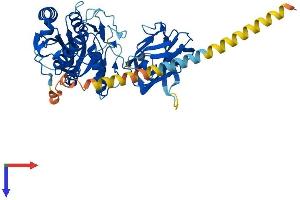 AlphaFold protein structure predicition of Human Recombinant MGAT4C Protein, UniprotID Q9UBM8
