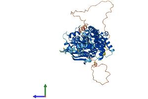 AlphaFold protein structure predicition of Human Recombinant ABCG1 Protein, UniprotID P45844