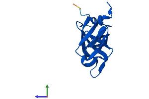 AlphaFold protein structure predicition of Mouse Recombinant Rpl35a Protein, UniprotID O55142