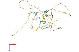 AlphaFold protein structure predicition of Mouse Recombinant Cdc42ep1 Protein, UniprotID Q91W92