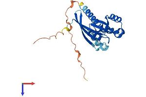 AlphaFold protein structure predicition of Mouse Recombinant Rab3a Protein, UniprotID P63011