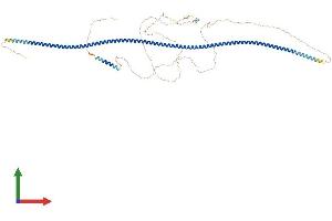 AlphaFold protein structure predicition of Human Recombinant CCDC62 Protein, UniprotID Q6P9F0