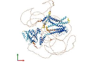 AlphaFold protein structure predicition of Human Recombinant HCN4 Protein, UniprotID Q9Y3Q4