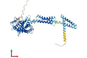 AlphaFold protein structure predicition of Mouse Recombinant Atl3 Protein, UniprotID Q91YH5