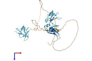 AlphaFold protein structure predicition of Human Recombinant TARDBP Protein, UniprotID Q13148