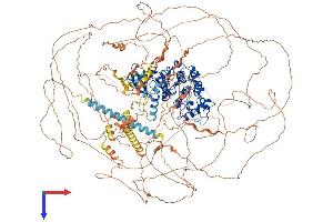 AlphaFold protein structure predicition of Human Recombinant CDK13 Protein, UniprotID Q14004