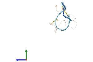 AlphaFold protein structure predicition of Human Recombinant SYCP1 Protein, UniprotID Q15431