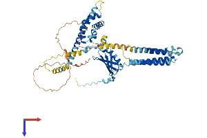 AlphaFold protein structure predicition of Human Recombinant VANGL1 Protein, UniprotID Q8TAA9