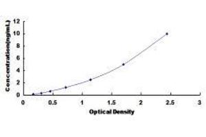 ELISA image for Solute Carrier Family 27 (Fatty Acid Transporter), Member 5 (SLC27A5) ELISA Kit (ABIN425003)