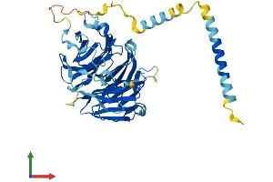AlphaFold protein structure predicition of Human Recombinant WDR18 Protein, UniprotID Q9BV38