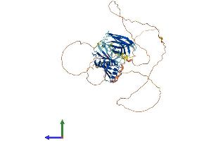 AlphaFold protein structure predicition of Mouse Recombinant Syt14 Protein, UniprotID Q7TN84
