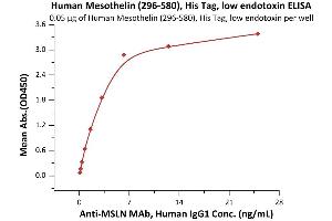 Immobilized Human Mesothelin (296-580), His Tag, low endotoxin (ABIN5954925,ABIN6938912) at 0.