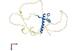 AlphaFold protein structure predicition of Human Recombinant HOXD12 Protein, UniprotID P35452