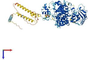 AlphaFold protein structure predicition of Human Recombinant MGAT5 Protein, UniprotID Q09328