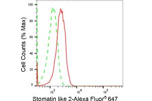 Flow cytometric analysis of Stomatin like 2 expression in HepG2 cells using Stomatin like 2 antibody (ABIN7800442), 1:2,000). (Recombinant STOML2 anticorps)