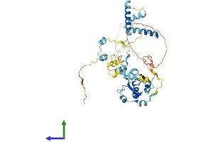 AlphaFold protein structure predicition of Mouse Recombinant Rbm41 Protein, UniprotID Q8JZV4
