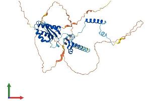 AlphaFold protein structure predicition of Mouse Recombinant Rnf25 Protein, UniprotID Q9QZR0