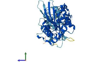 AlphaFold protein structure predicition of Human Recombinant APOBEC3F Protein, UniprotID Q8IUX4