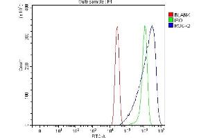 Flow Cytometry analysis of A431 cells using anti-ROCK2 antibody (ABIN7602651). (ROCK2 anticorps  (AA 908-1386))
