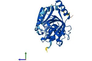 AlphaFold protein structure predicition of Human Recombinant PNP Protein, UniprotID P00491