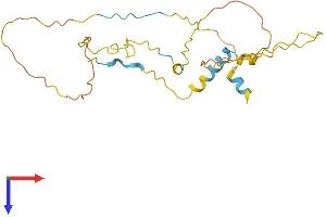 AlphaFold protein structure predicition of Mouse Recombinant Trp53inp1 Protein, UniprotID Q9QXE4