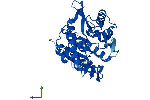 AlphaFold protein structure predicition of Mouse Recombinant Pdxk Protein, UniprotID Q8K183