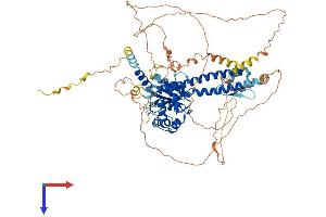 AlphaFold protein structure predicition of Human Recombinant BAP1 Protein, UniprotID Q92560
