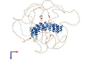 AlphaFold protein structure predicition of Mouse Recombinant Pum2 Protein, UniprotID Q80U58