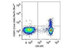Flow Cytometry (FACS) image for anti-Forkhead Box P3 (FOXP3) antibody (Pacific Blue) (ABIN2662093)