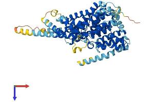 AlphaFold protein structure predicition of Human Recombinant SLC13A5 Protein, UniprotID Q86YT5