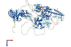 AlphaFold protein structure predicition of Human Recombinant TOP2A Protein, UniprotID P11388