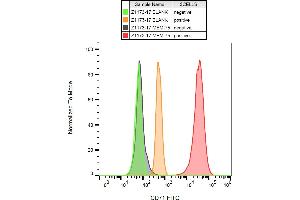Flow cytometry analysis (surface staining) of CD71 in K562 cells (positive) and lymfocytes (negative) using anti-CD71 (MEM-75) FITC.