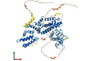 AlphaFold protein structure predicition of Human Recombinant RASGRP4 Protein, UniprotID Q8TDF6