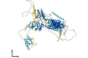 AlphaFold protein structure predicition of Mouse Recombinant Disp3 Protein, UniprotID A3KFU9