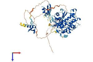 AlphaFold protein structure predicition of Mouse Recombinant Adarb1 Protein, UniprotID Q91ZS8