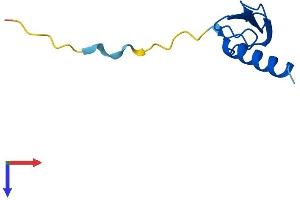 AlphaFold protein structure predicition of Human Recombinant ELOF1 Protein, UniprotID P60002