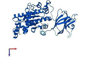 AlphaFold protein structure predicition of Human Recombinant SEC14L2 Protein, UniprotID O76054